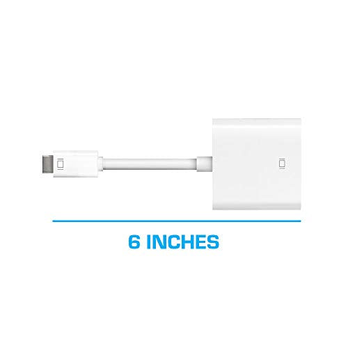 Mini DVI to DVI Converter