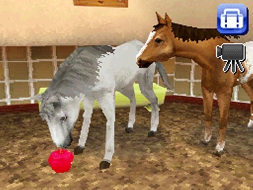 Petz Horseshoe Ranch - Nintendo DS