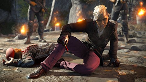 Ubisoft Far Cry 4 Limited Edition - PlayStation 4