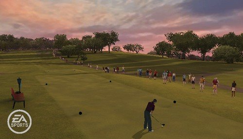 Tiger Woods PGA Tour 10 - Nintendo Wii [DISC ONLY]
