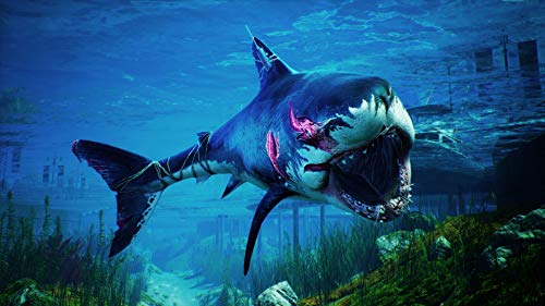 Maneater - Xbox One
