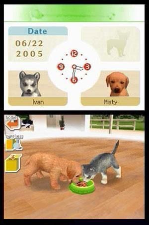 Nintendogs: Best Friends - Nintendo DS