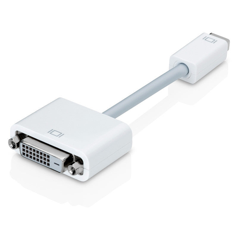 Mini DVI to DVI Converter