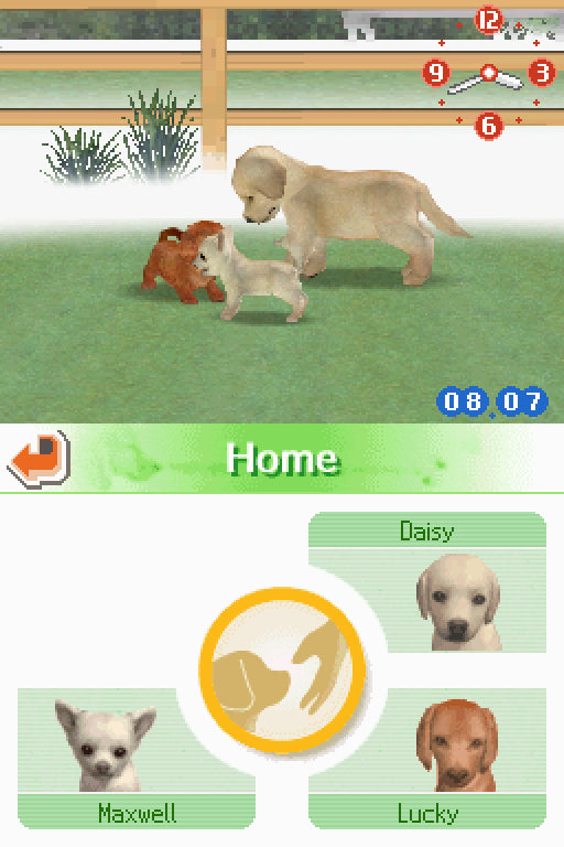 Nintendogs Lab & Friends - Nintendo DS [CARTRIDGE ONLY]