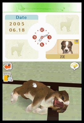 Nintendogs Chihuahua & Friends - Nintendo DS [CARTRIDGE ONLY]