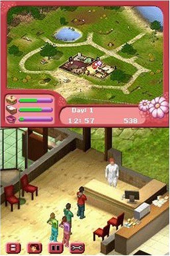 Paws & Claws Pet Vet Healing Hands - Nintendo DS [CARTRIDGE ONLY]