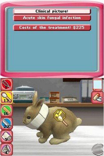 Paws & Claws Pet Vet Healing Hands - Nintendo DS [CARTRIDGE ONLY]