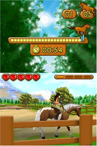 Ener-G Horse Riders - Nintendo DS [CARTRIDGE ONLY]