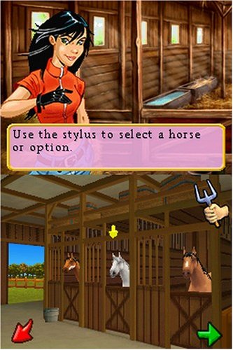 Ener-G Horse Riders - Nintendo DS [CARTRIDGE ONLY]