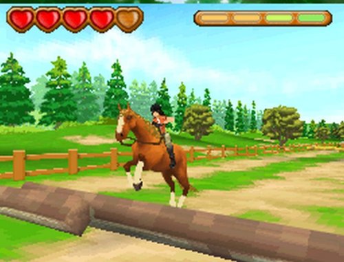 Ener-G Horse Riders - Nintendo DS [CARTRIDGE ONLY]