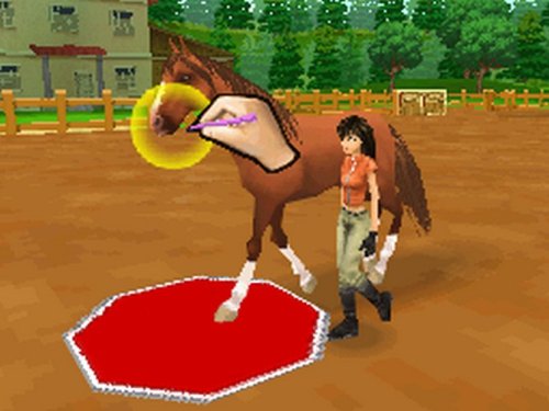 Ener-G Horse Riders - Nintendo DS [CARTRIDGE ONLY]