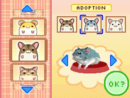Hamsterz Life - Nintendo DS [CARTRIDGE ONLY]