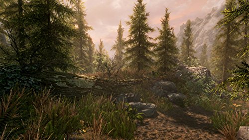 The Elder Scrolls V: Skyrim - Special Edition - Microsoft Xbox One XBO XB1