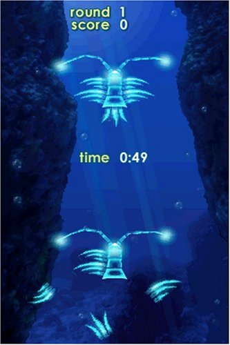 Zenses: Ocean Edition - Nintendo DS [CARTRIDGE ONLY]