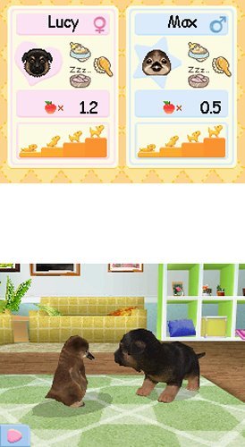 Petz Nursery 2 - Nintendo DS [CARTRIDGE ONLY]