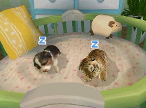 Petz Nursery 2 - Nintendo DS [CARTRIDGE ONLY]