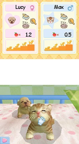 Petz Nursery 2 - Nintendo DS [CARTRIDGE ONLY]