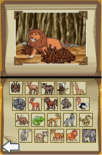 Go Diego Go: Safari Rescue - Nintendo DS [CARTRIDGE ONLY]