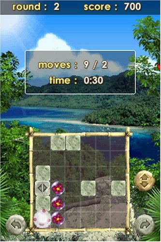 Zenses: Rainforest Edition -  Nintendo DS