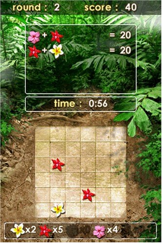 Zenses: Rainforest Edition -  Nintendo DS