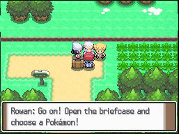 Pokemon Platinum - Nintendo DS [CARTRIDGE ONLY]