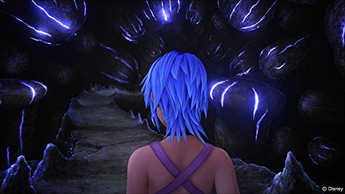 Kingdom Hearts HD 2.8 Final Chapter Prologue - Sony PlayStation 4 [DISC ONLY]