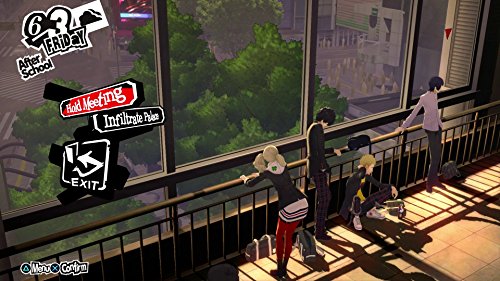 Persona 5 - SteelBook Edition - PlayStation 4 PS4