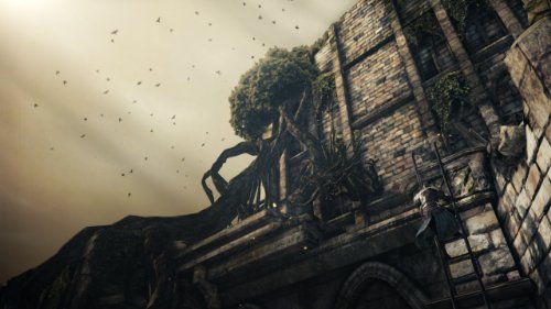 Dark Souls II - Sony PlayStation 3 PS3
