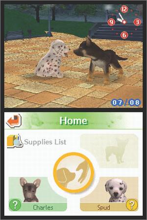 Nintendogs Dalmatian & Friends - Nintendo DS [CARTRIDGE ONLY]