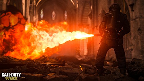 Call of Duty: WWII - Sony PlayStation 4 PS4 [DISC ONLY]