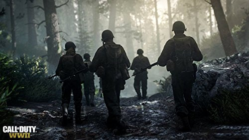 Call of Duty: WWII - Sony PlayStation 4 PS4 [DISC ONLY]
