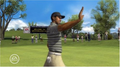 Tiger Woods PGA Tour 08 - Microsoft  Xbox 360 [DISC ONLY]