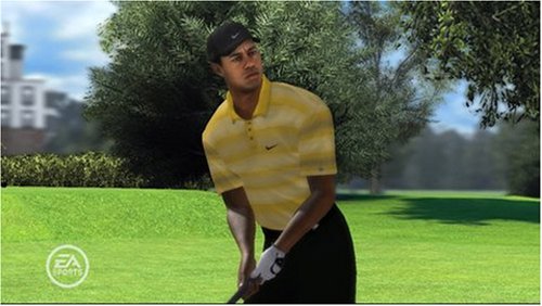 Tiger Woods PGA Tour 08 - Microsoft  Xbox 360 [DISC ONLY]