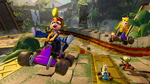 Crash™ Team Racing Nitro-Fueled (Xbox One)