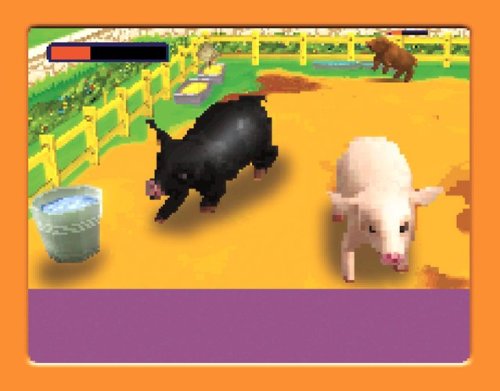Imagine: Animal Doctor - Nintendo DS