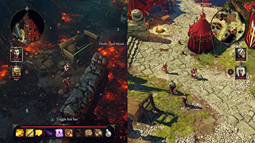 Divinity: Original Sin Enhanced Edition - PlayStation 4