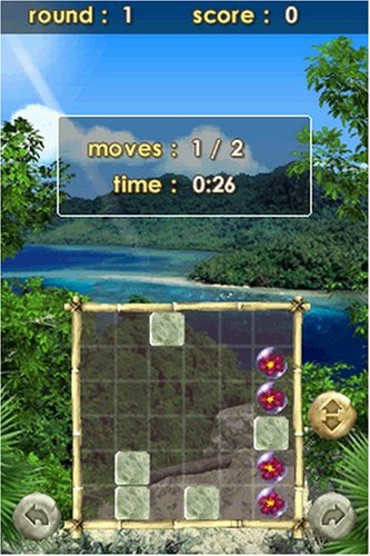 Zenses: Rainforest Edition -  Nintendo DS