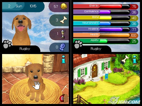 Paws and Claws Dogs & Cats Best Friends - Nintendo DS